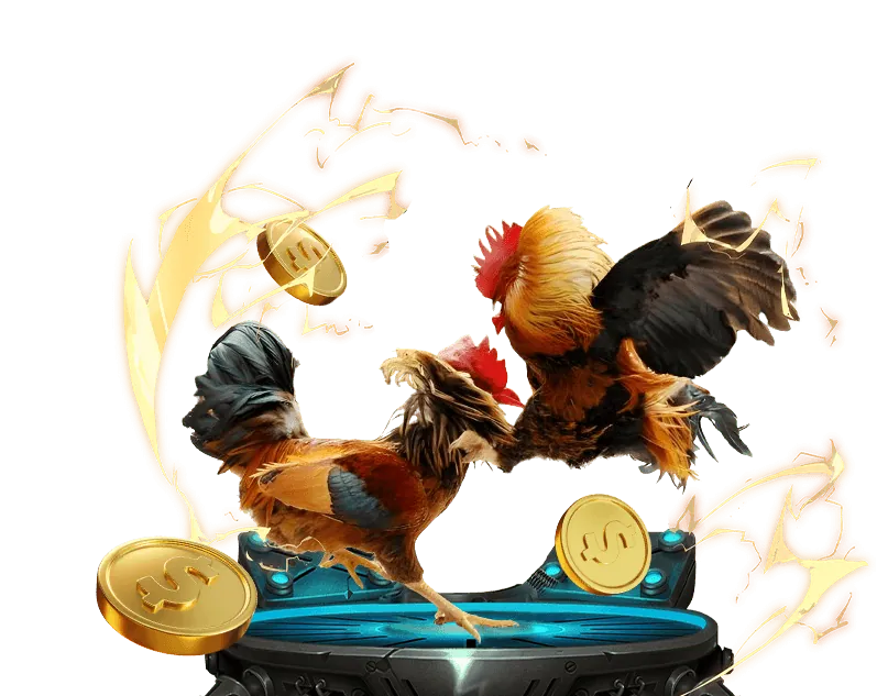 Tổng quan giao diện ứng dụng đá gà trực tiếp cựa dao hôm nay